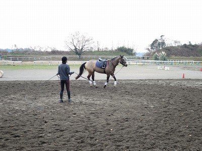 調馬索で馬とコミュニケーションしよう！