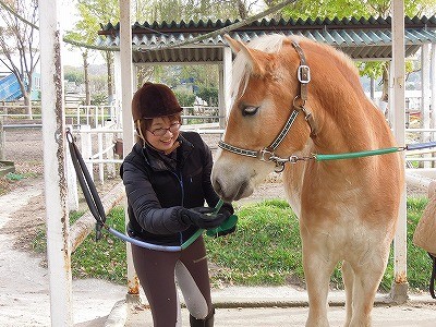 ホースツッコミニケーション