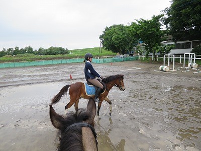 新馬調教　水たまりを通過