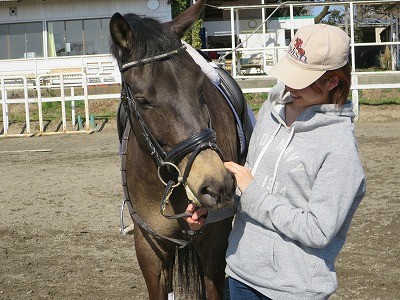 馬と遊ぶような乗馬