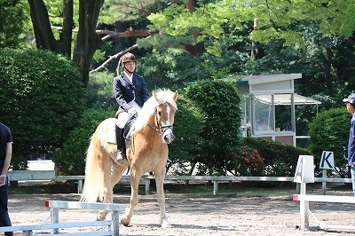 馬術競技会風景