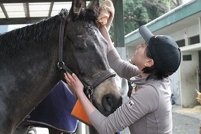 馬とのコミュニケーションを大切にする