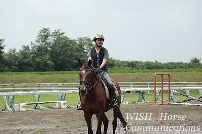 乗馬でミニゲーム 柏エリアの乗馬 ウィッシュホースコミュニケーションズ 乗馬でミニゲーム 柏エリアの乗馬 ウィッシュホースコミュニケーションズ