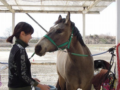 馬と笑顔