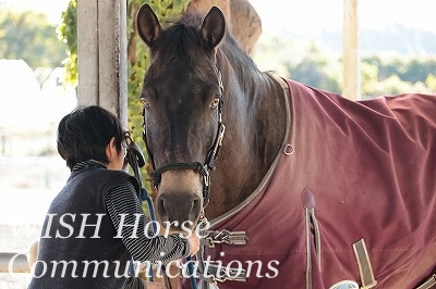 愛情を感じる乗馬