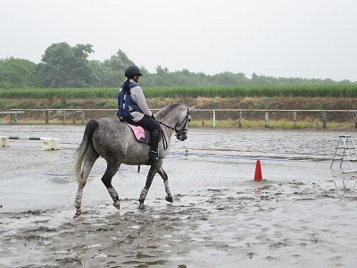 乗馬のゾーン