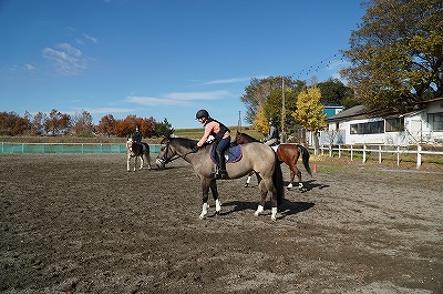 育つ乗馬成長する乗馬