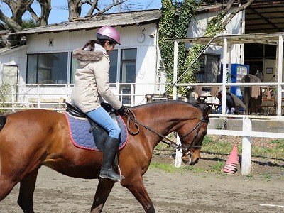 ドイツの乗馬