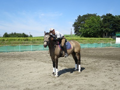 馬が信頼する乗馬