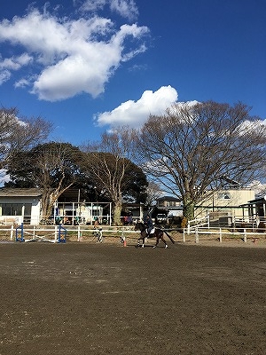 春を感じる乗馬