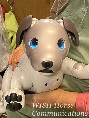AIBOの笑顔