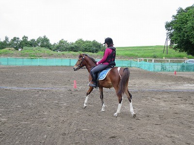 新馬調教　馬の気持ちを考える