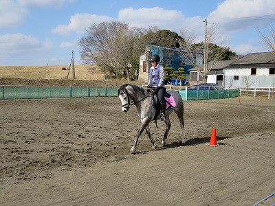 乗馬は自己表現