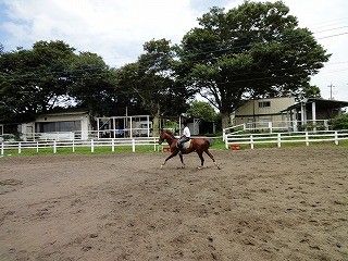 乗馬の楽しみは人馬の健康から