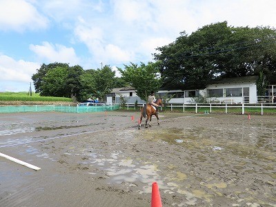 秋晴れの乗馬