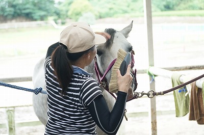 それがこうやって結果が出ているやり方です