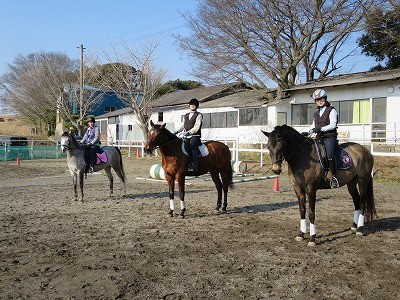 馬と一緒に楽しむ乗馬