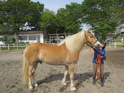 春の乗馬クラブの選び方