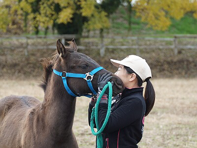 馬に愛され信頼される関係を