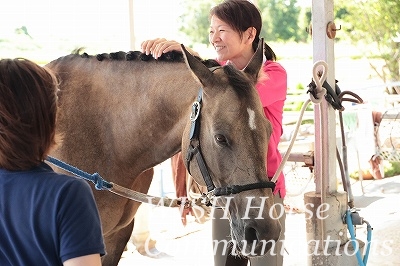 馬に優しい乗馬