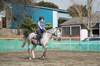 乗馬上達の秘訣