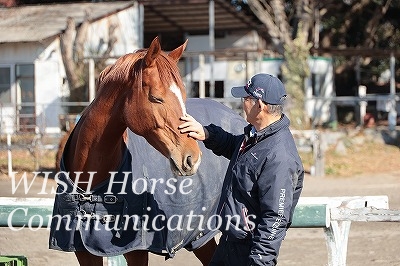 馬との信頼関係