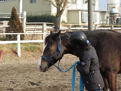 馬にホスピタリティーを捧げる