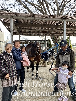 乗馬体験