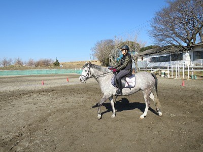 乗馬は馬の理解と協力が必要