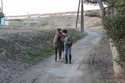 夕焼け色の乗馬