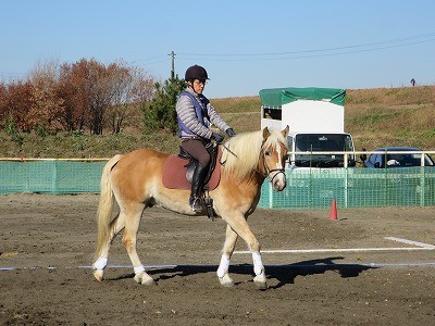 馬のニーズを満たす