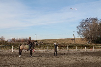 馬と遊ぶ