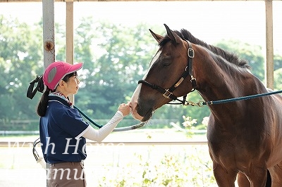 理想の乗馬