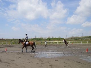快晴の乗馬クラブ