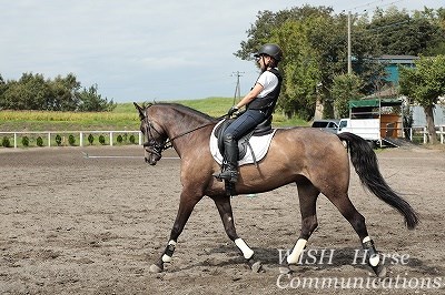 乗馬も気配りの勧め