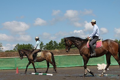 環境が馬を作り馬が環境を作る