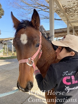 愛情あふれる乗馬
