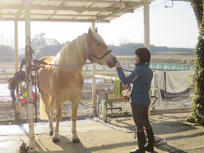 馬とお互いに気持ちいい関係