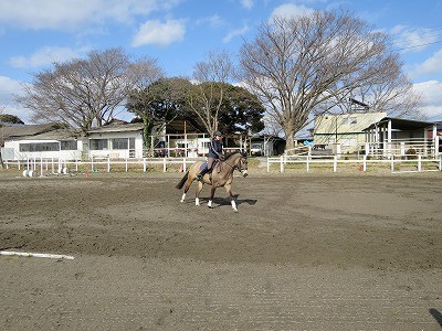 乗馬は自己表現