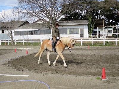 やるときやります！馬の美しいフォーム