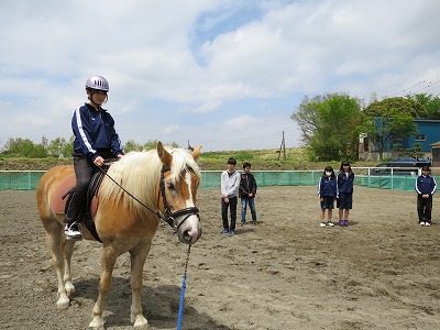 柏南高校馬術部