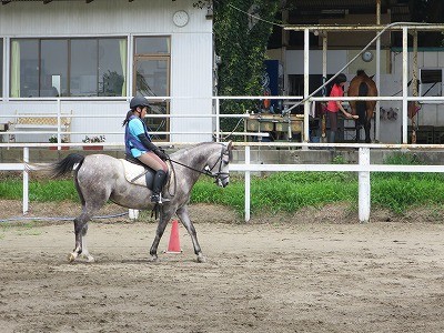 馬への気持ちの表れ