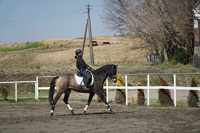 乗馬は幸せなスイカ割り