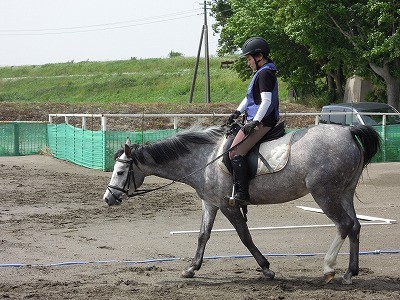 乗馬の基本、知識、練習内容