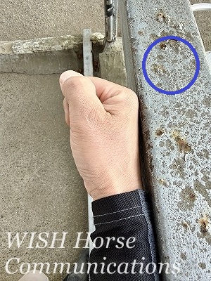 乗馬　手首