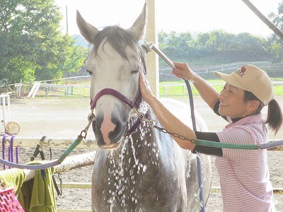 常に馬の立場で