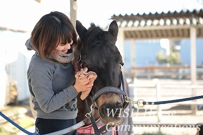 優しい乗馬