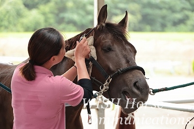 馬が幸せな時の表情