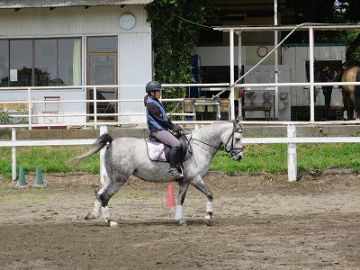 馬の血統