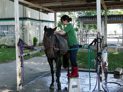 馬との信頼関係